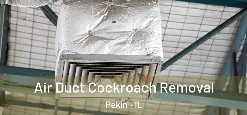  Air Duct Cockroach Removal Pekin - IL