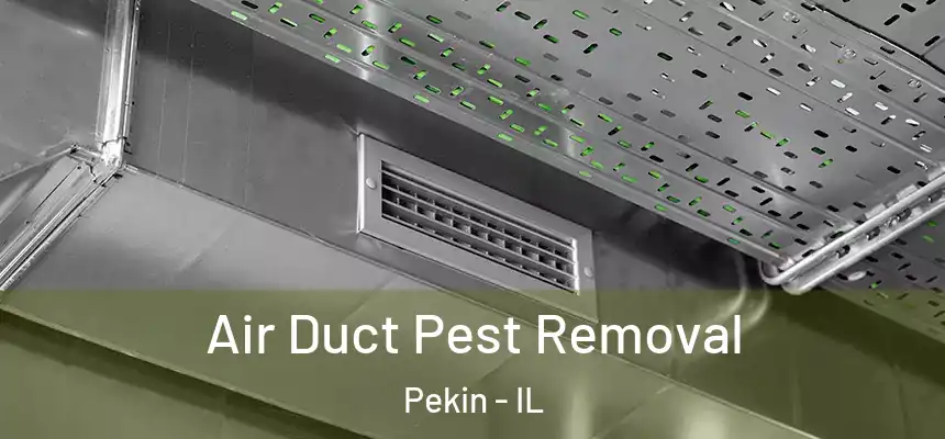  Air Duct Pest Removal Pekin - IL
