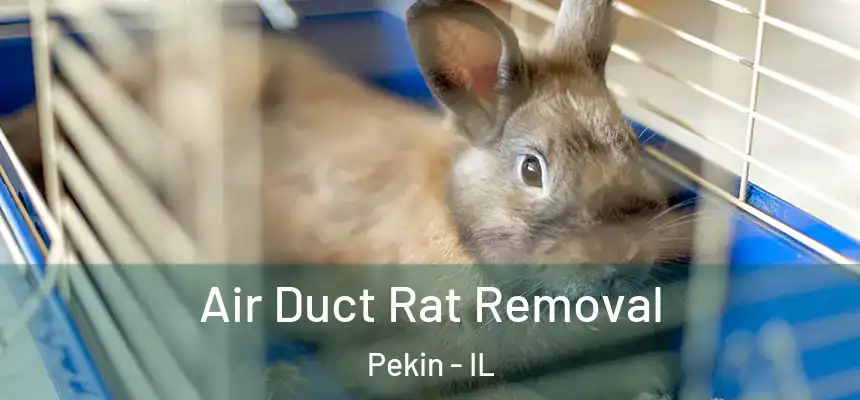  Air Duct Rat Removal Pekin - IL