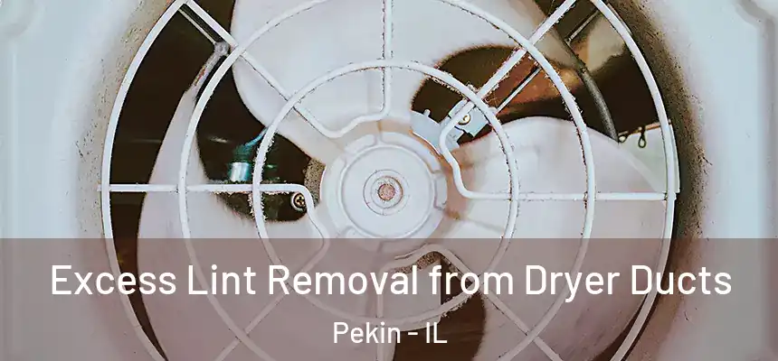  Excess Lint Removal from Dryer Ducts Pekin - IL
