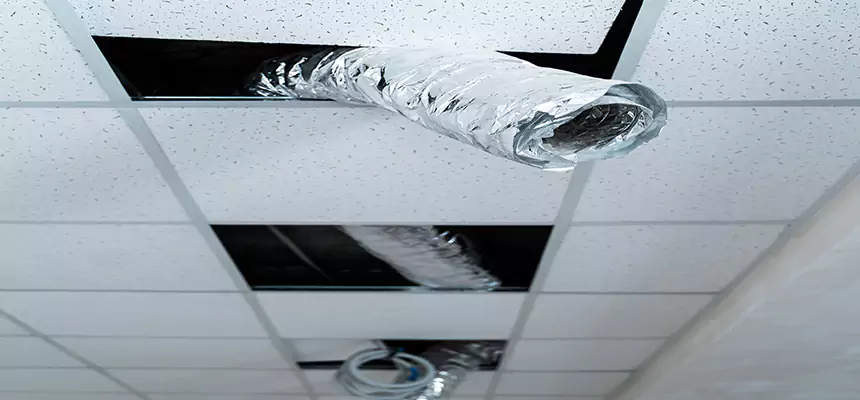 Affordable HVAC Sanitizing After Pest Removal in Pekin