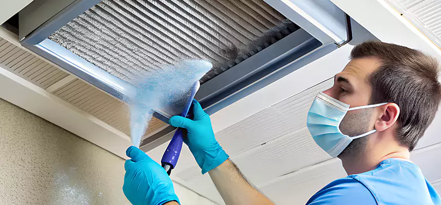 Proactive Dryer Vent & Auxiliary Duct Pollen Cleanup in Pekin, IL
