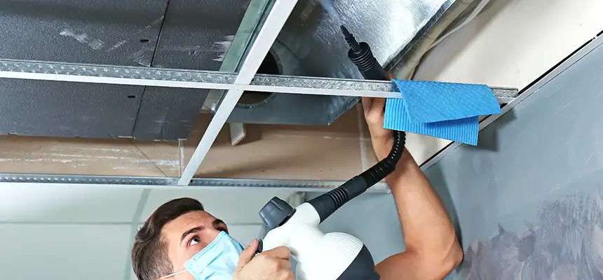 Our Air Duct Rodent Removal Services in Pekin, IL