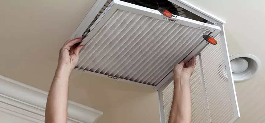 Our Insect Removal from Air Ducts Services in Pekin, IL