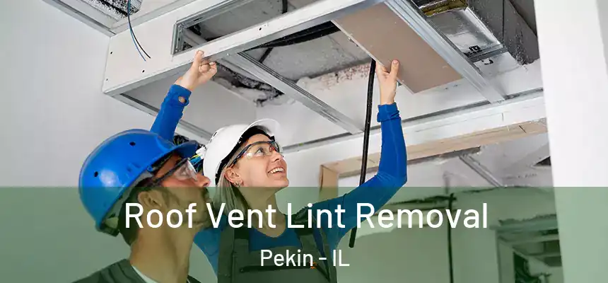  Roof Vent Lint Removal Pekin - IL