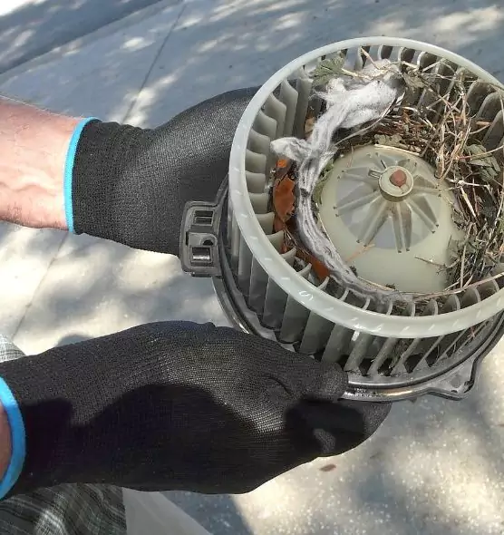 About Air Duct Mice Removal in Pekin, IL