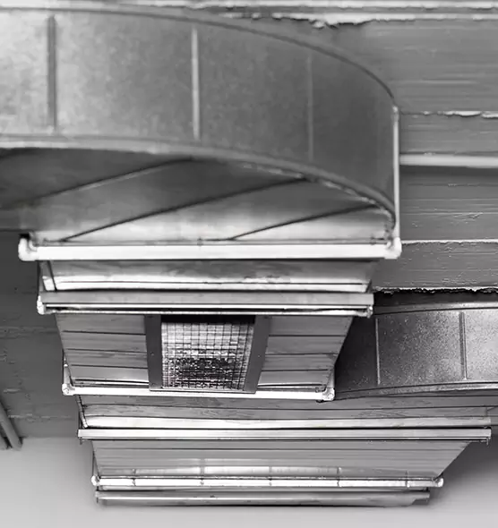 Professional Air Duct Pest Removal in Pekin, IL