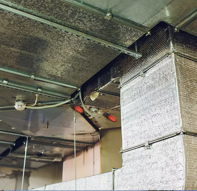 Why Homeowners & Businesses Trust Us in Pekin, IL?